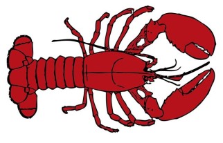 Lobster